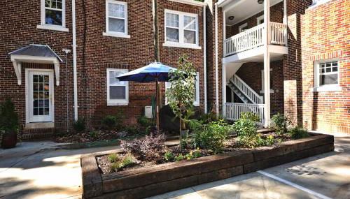 The Home Collection CLT: Kirkwood Avenue - Foto 3