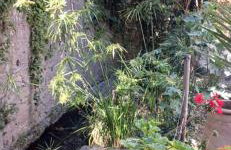 Au fil de l eau - Photo 45