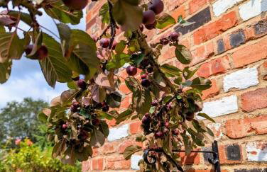 2 Bed 2 Ensuite Modern House With Parking - Foto 11