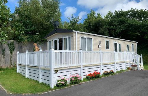 Mollys Retreat pet friendly three bed caravan with small garden Newquay Bay Resort Quieter area of park - Foto 1
