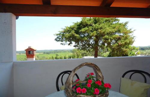 Apartment Take a Look - Photo 36