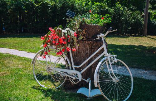 Casa Karnevali - Photo 18