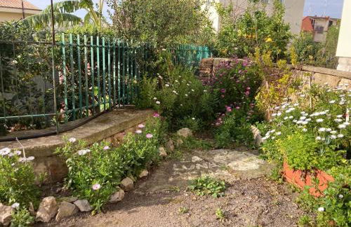 Casa Lumina - Foto 11