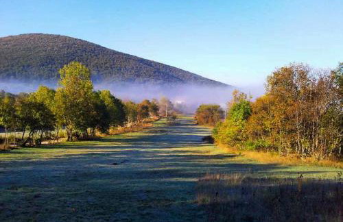 Villa Bornstein - Photo 29