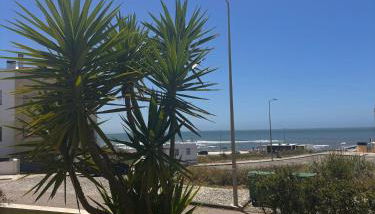 Mar de Fulles - Foto 4