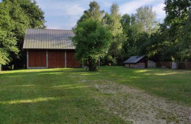 Kraska Dom Wakacyjny w Sercu Puszczy Białowieskiej - Foto 6