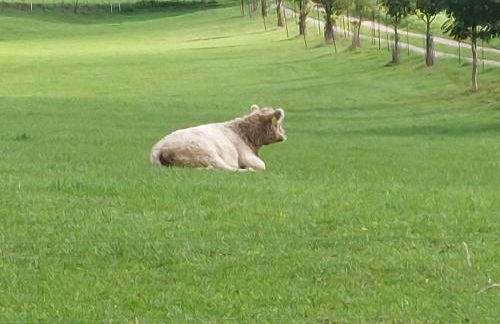Ferienwohnung auf dem Land - Foto 21