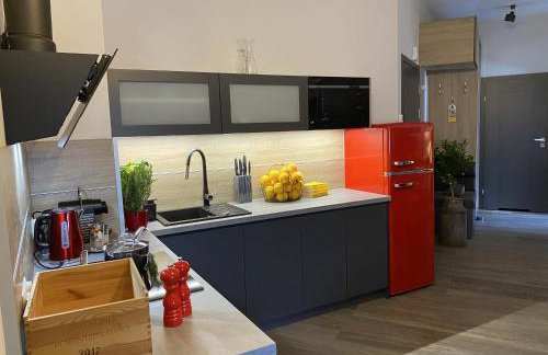 Apartament Krzysztofa Bochusa - Foto 61