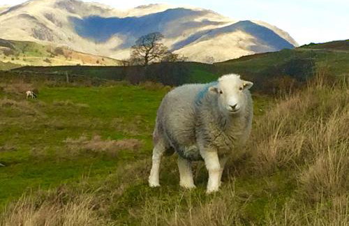 Canny Brow Barn - Foto 72