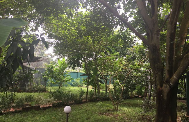 Amadi Villa - Photo 28