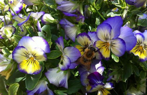 Les Gites De La Gassende - Foto 18