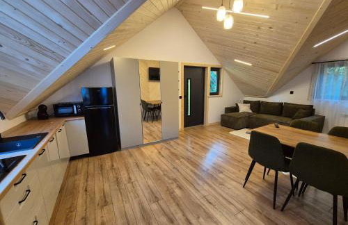 Apartament z prywatną wanną z hydromasażem - U Parów - Foto 56