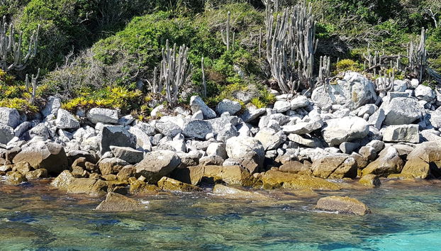 Passeio de barco por Arraial do Cabo