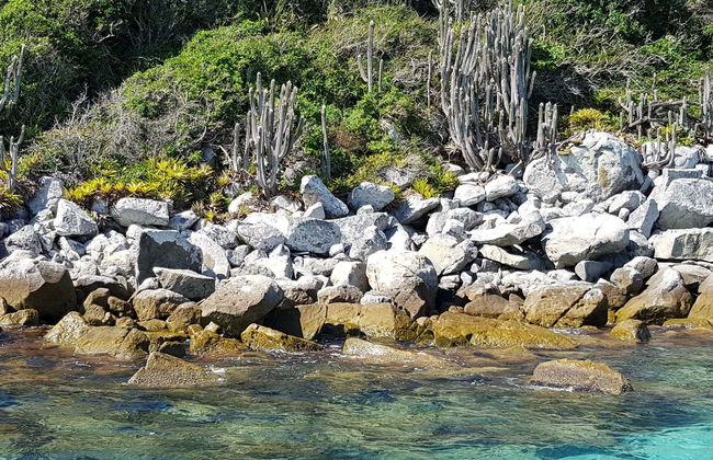 Passeio de barco por Arraial do Cabo - Foto 5