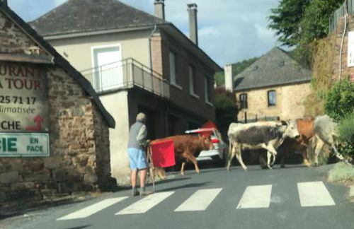 Maisonnette la Grue - Vallée de la Dordogne - Foto 33