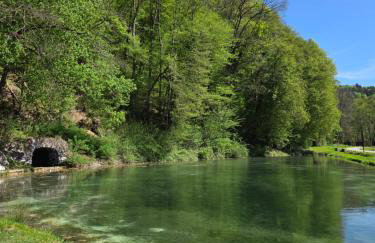 "Rózin Pstrągarnia" domki całoroczne Jura Krakowsko-Częstochowska - Foto 22