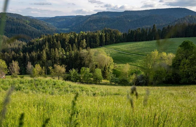 Ferienwohnung im Zentrum von Mahlberg - Foto 36