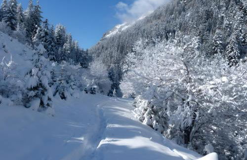 Chalet Refuge Loup Blanc Valfréjus - Foto 32
