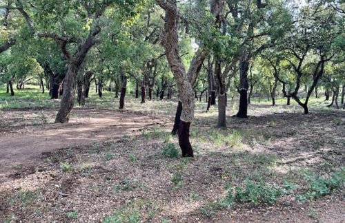 Entre Terre et Mer - Foto 42