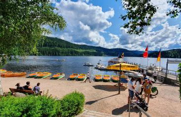 Landhaus-Apartment Feldbergblick - Foto 31