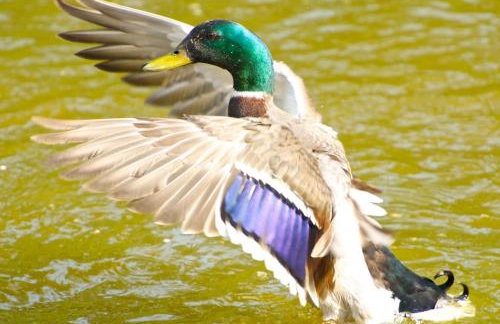 The Stables and Hayloft - Foto 24