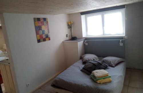 Studio Vic - Photo 16