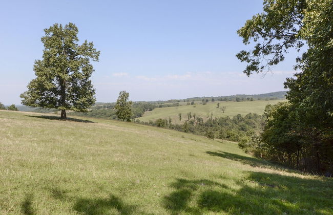 Llama House - Foto 53