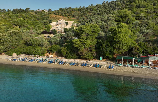 Golden King - Foto 50