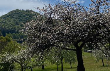 Haus am Sagenweg - Foto 17