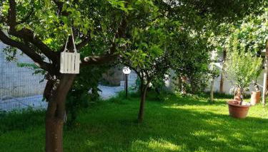Dimora Damare - Foto 3, Garden