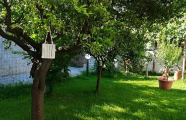 Dimora Damare - Foto 3