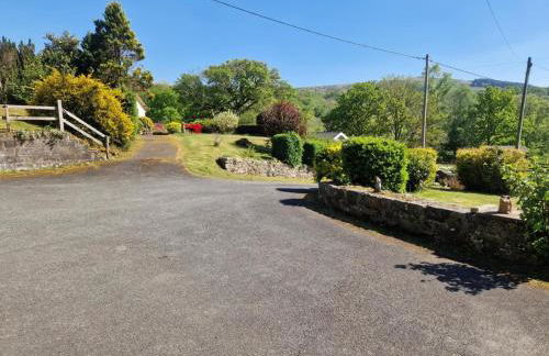 Y Fedw Wen - Foto 40