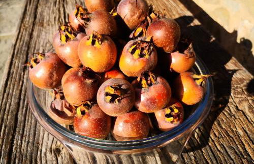 Agriturismo Braccicorti - Foto 72