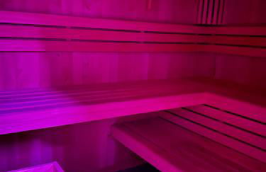 Apartment Cats Forest - Foto 1