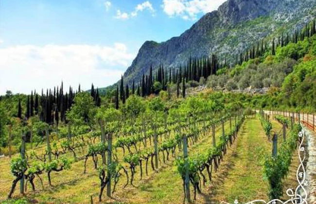 Exclusive Villa with Private Pool & Huge Fenced Property near Dubrovnik - Foto 42