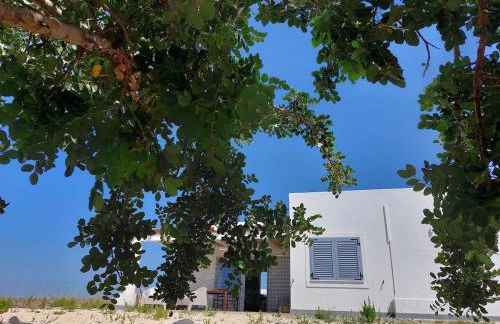 Casa Palombara - Healiday in Torre Salsa - Foto 55