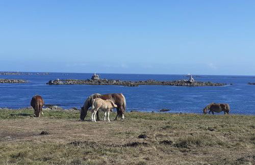 La petite bretonne de Tréompan - Foto 28