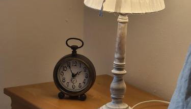 Rosenzauber Gipfelstürmer - Foto 5