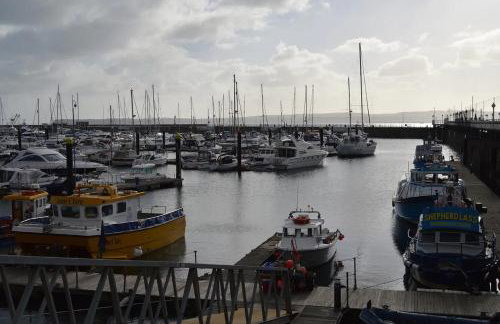 The garden flat - Photo 27