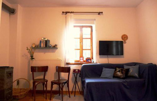 Πέτρινο παραδοσιακό σπίτι "Χιονάτη" - Foto 7