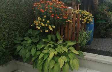 Ferienwohnung Grete - Foto 22