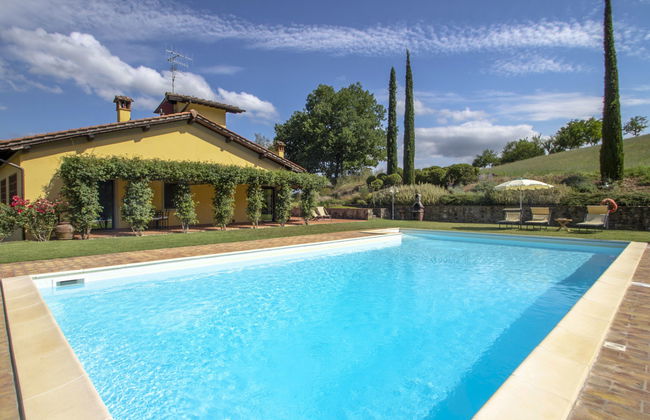 Corbezzolo - Foto 33