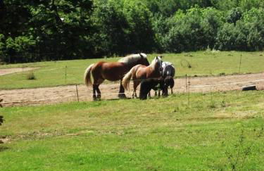 Chalets du Bois de Vache - Foto 45