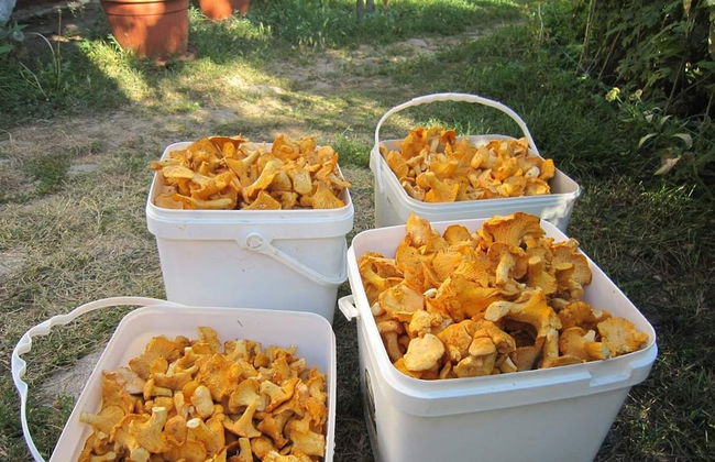 Monfort B - Photo 36