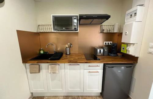 Studio avec jardin privatif - Foto 6