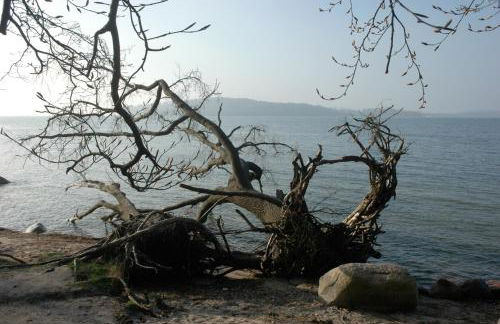 Hof Vilmnitz Haus A - Foto 20