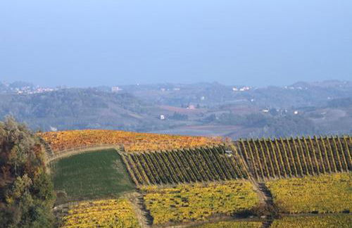 Cascina Marcantonio - Foto 33