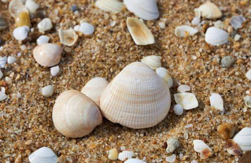 apart@CostaSantoAndré Beach - Foto 7