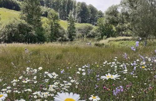 Charmante maisonnette en pierre près d'Épinal - FR-1-589-804 - Foto 3