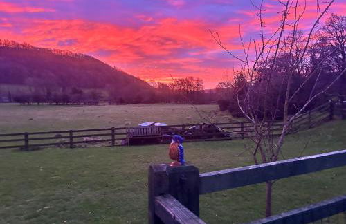 Shepherds hut, Eco, Log burner Hot tub NY moors - Foto 10